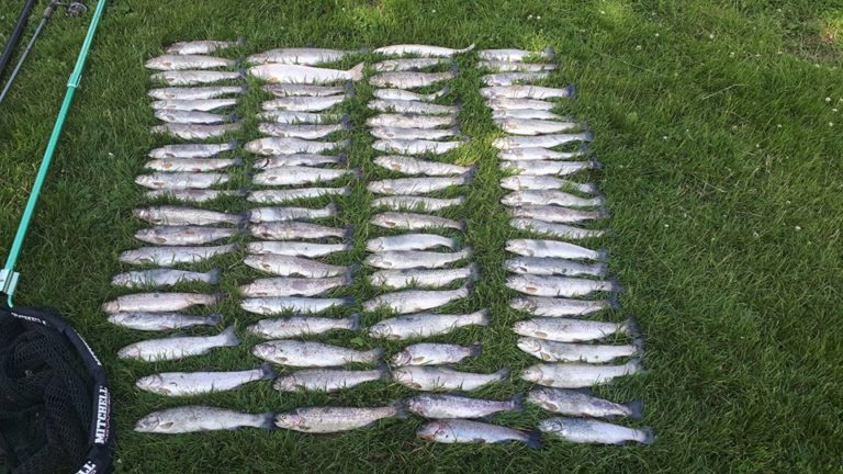 Pisciculture De Bernay Et Ses étangs De Pêche Photos